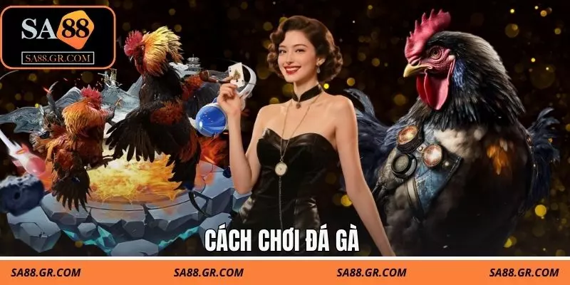 CÁCH CHƠI ĐÁ GÀ CHUẨN CAO THỦ - ÁP DỤNG THỰC TẾ DỄ DÀNG 1 Cách Chơi Đá Gà Chuẩn Cao Thủ - Áp Dụng Thực Tế Dễ Dàng