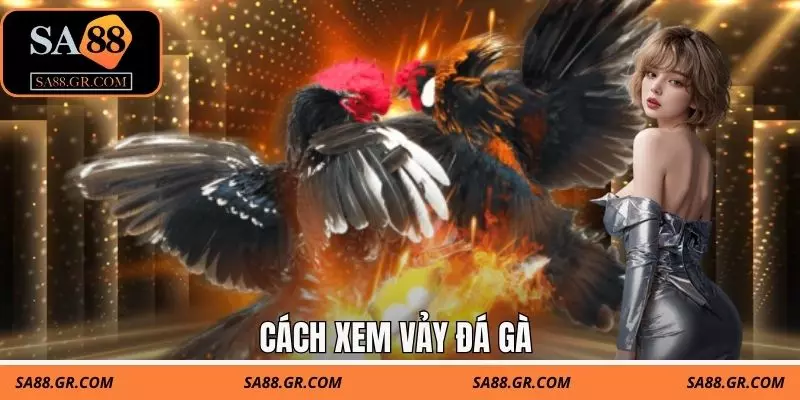 CÁCH XEM VẢY ĐÁ GÀ | NHẬN BIẾT VẢY ĐỘC - HIẾM TỪ LINH KÊ 1 Cách Xem Vảy Đá Gà | Nhận Biết Vảy Độc - Hiếm Từ Linh Kê