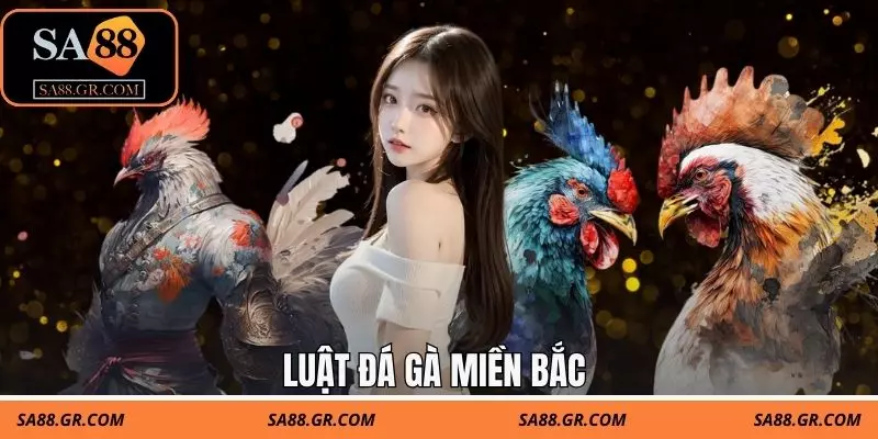 LUẬT ĐÁ GÀ MIỀN BẮC CHUẨN SA88 - NẮM RÕ ĐỂ CƯỢC HIỆU QUẢ 1 Luật Đá Gà Miền Bắc Chuẩn SA88 - Nắm Rõ Để Cược Hiệu Quả